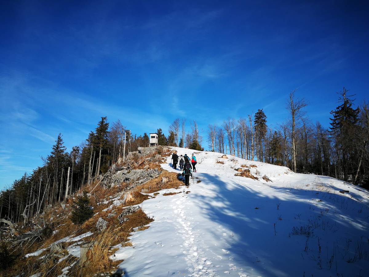 Winter NordicWalking Lidaun am 15.01.2020