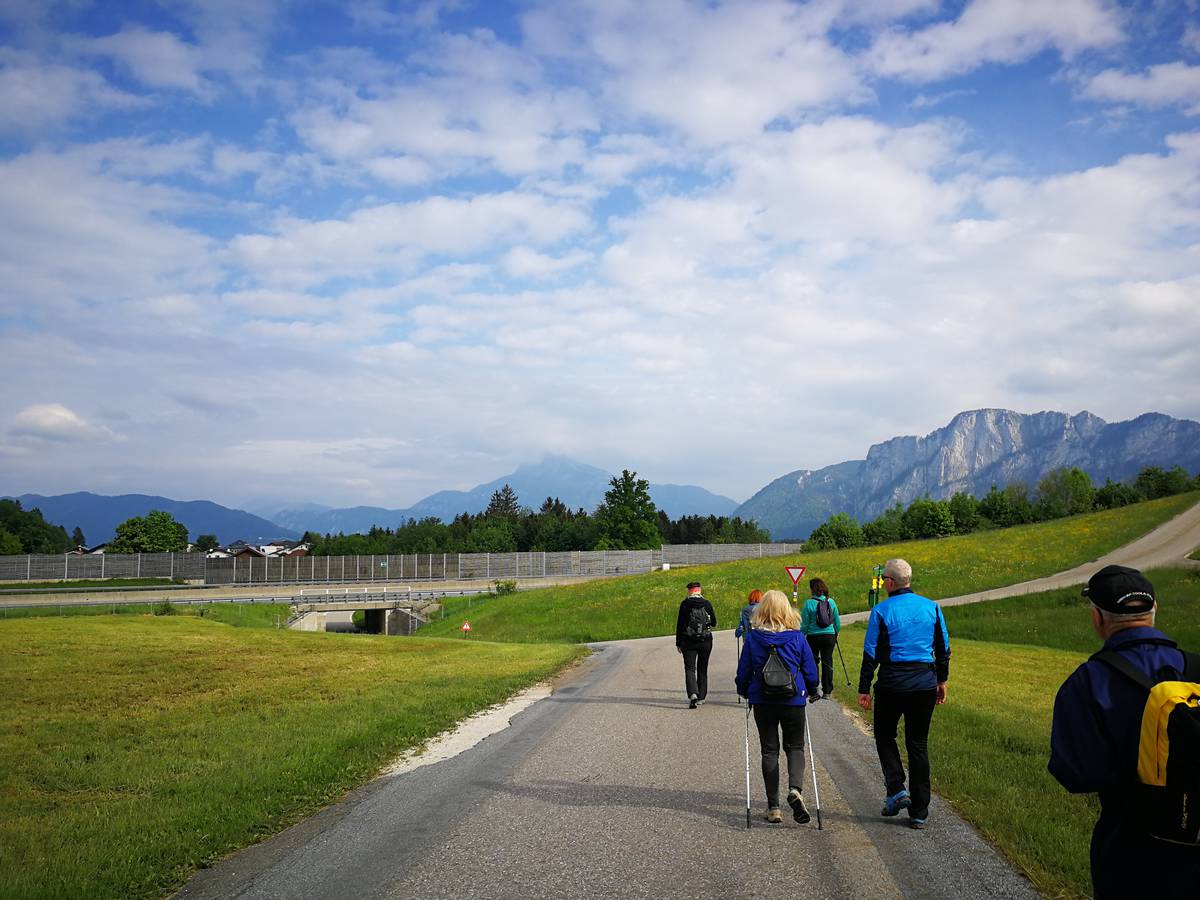 Wanderung Erlachmühle am 16.05.2020