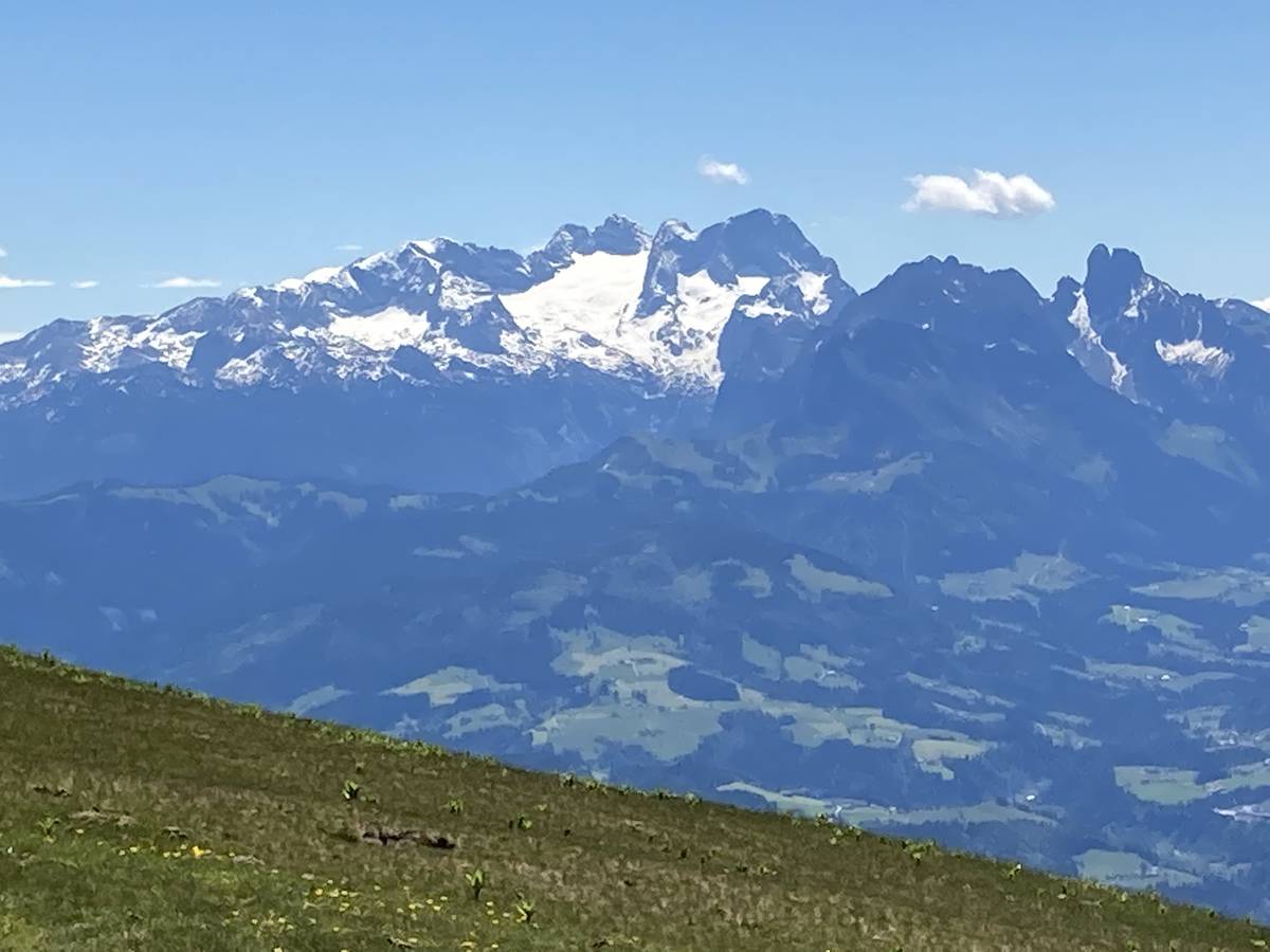 Trattberg Panoramaweg vom 06.06.2020