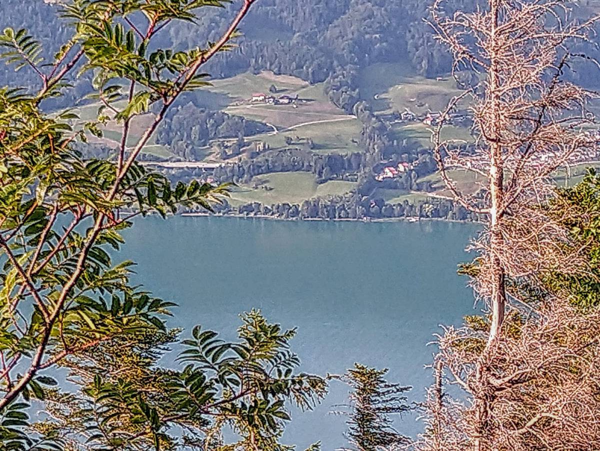 Almkogel Sommer Nordic Walking