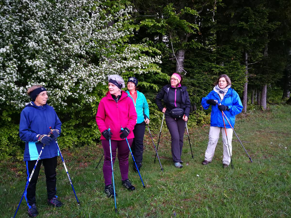 Nordic Walkingtour Thalgauegg