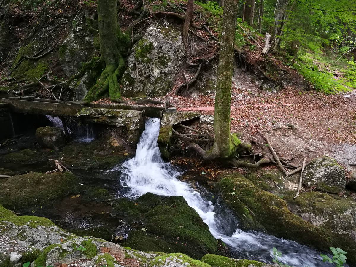 Bambichlrunde Nordic Walking