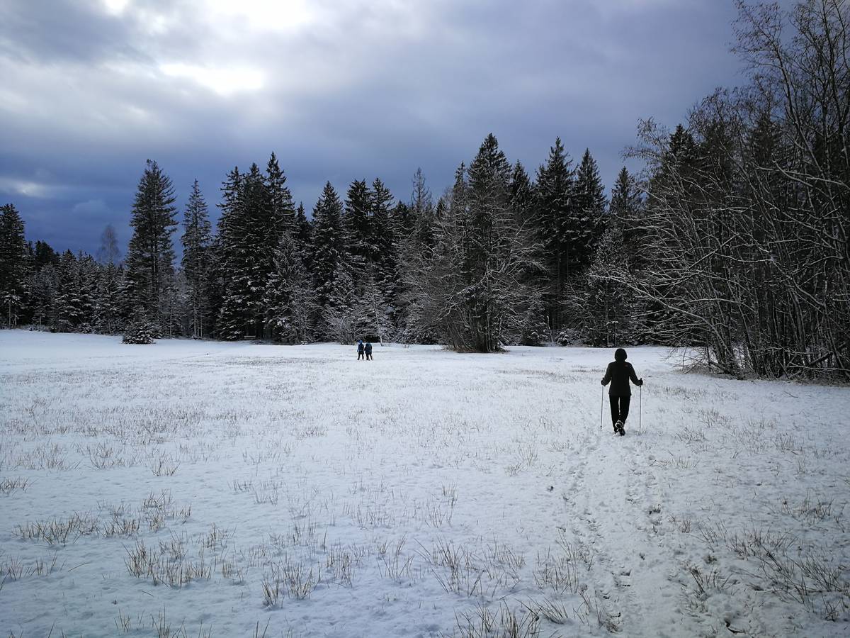 Schneeschuhwanderung Thalgauberg vom 29.01.2020