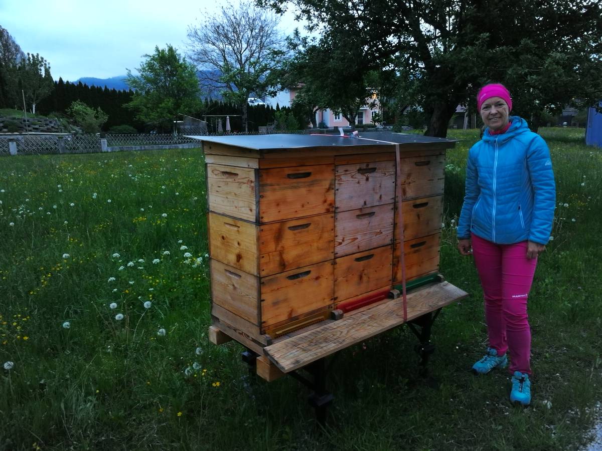 Bienenpatenschaft ‚Wildblume‘ vom 03.04.2020