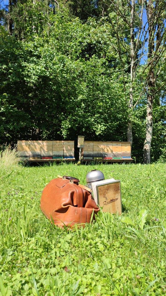 Exkursion zu den Bienen
