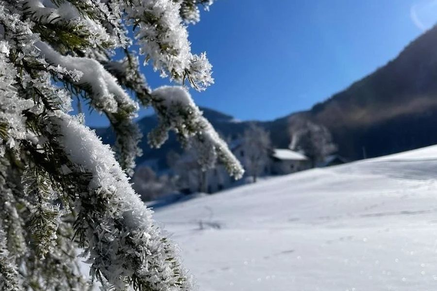 Traumhafte Schneeschuh-Wanderung