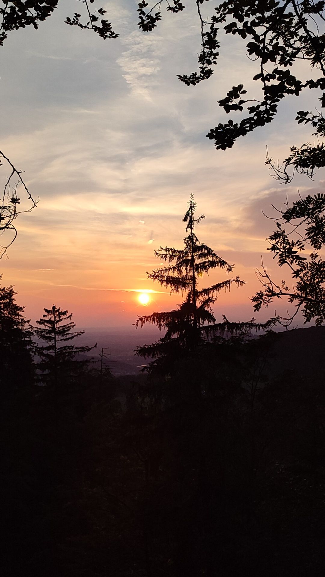 Endlich Sommer – Endlich Wetterglück