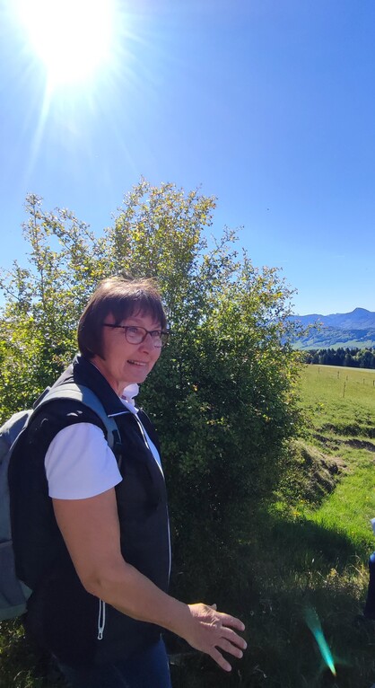 „Wildkräuterwanderung mit Gaby am Thalgauberg“