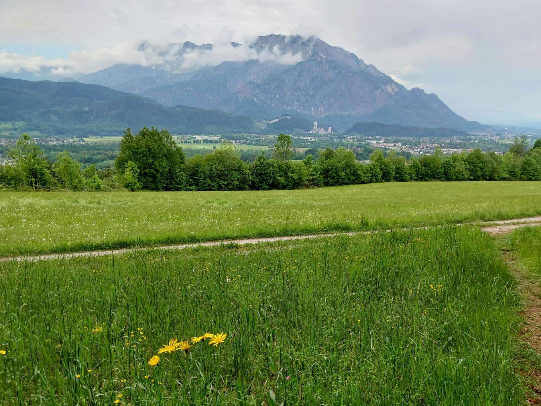 „Waldbaden“