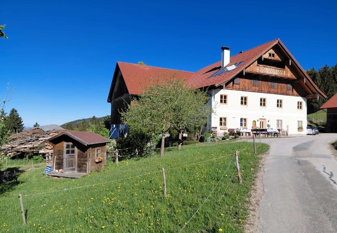 „Wildkräuterwanderung mit Gaby am Thalgauberg“